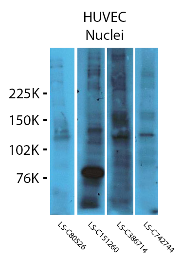 WB20191120B-Fig1