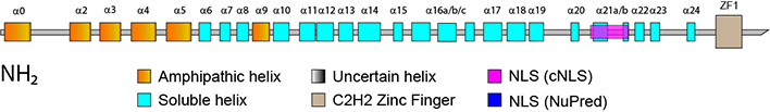 ZNF654 homology region